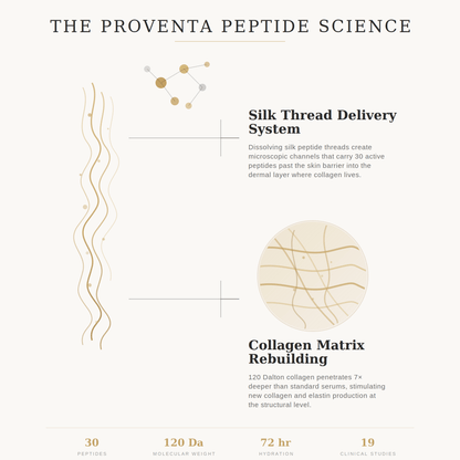 Proventa™ Deep Collagen Silk Peptide Ampoule - Shop Proventa